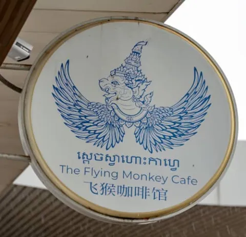 The Flying Monkey