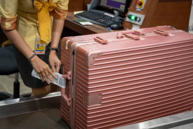 Hold luggage (or "check-in luggage")
